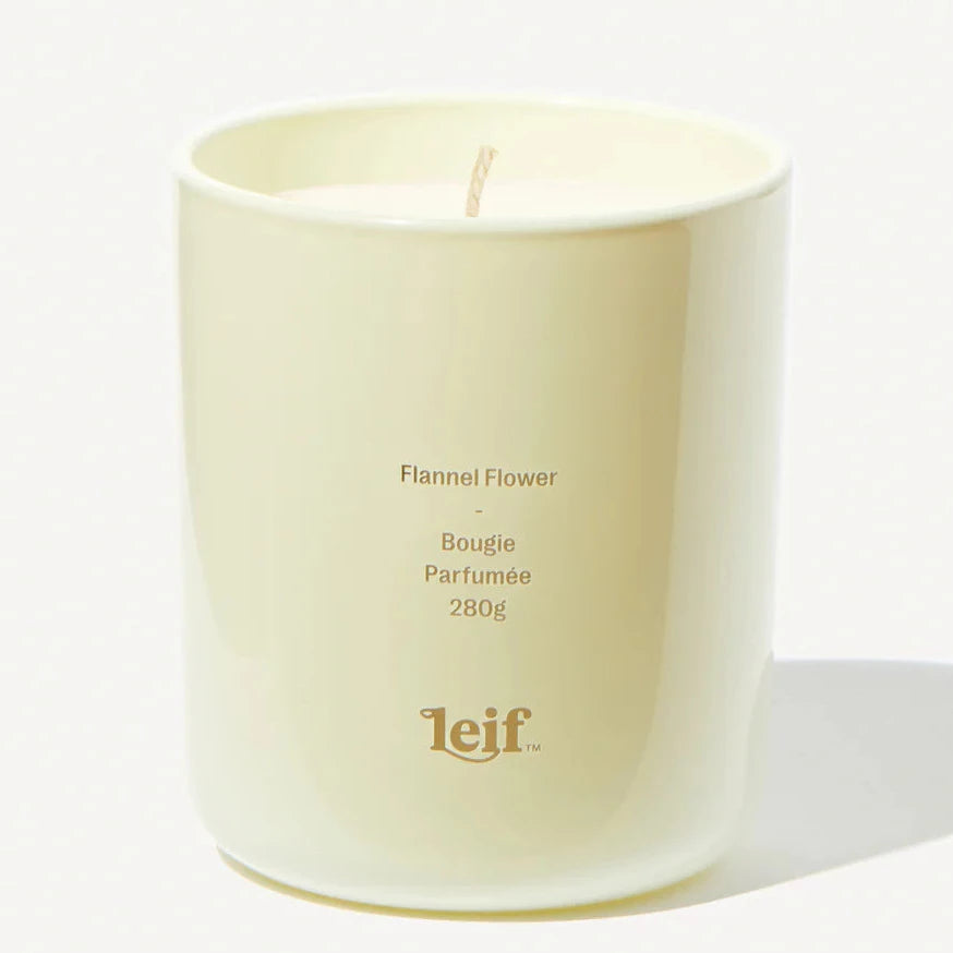 Leif Candle Flannel Flower
