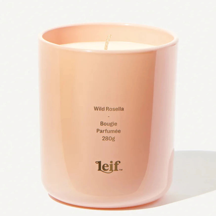 Leif Candle Wild Rosella