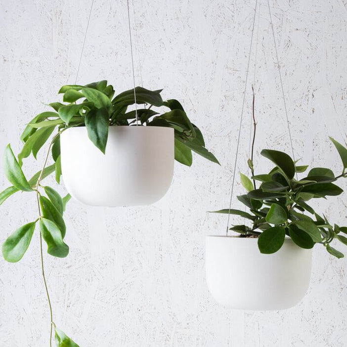 Raw Earth Hanging Planter White